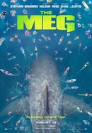 The Meg poster image