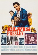 Flaming Star poster image