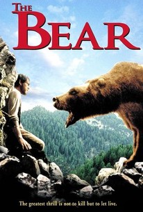 The Bear | Rotten Tomatoes
