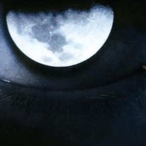 Moon Child photo 8
