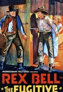 The Fugitive poster image
