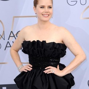 Amy Adams at arrivals for 25th Annual Screen Actors Guild Awards - Arrivals 1, The Shrine Auditorium & Expo Hall, Los Angeles, CA January 27, 2019. Photo By: Elizabeth Goodenough/Everett Collection