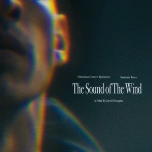 The Sound of the Wind photo 1