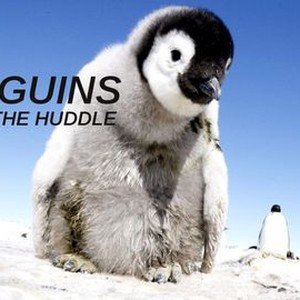 Penguins: Spy in the Huddle - Rotten Tomatoes