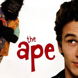 The Ape photo 5