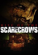 Rise of the Scarecrows poster image