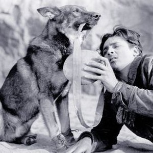Clash of the Wolves (1925) photo 8