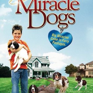 Miracle Dogs (2003) photo 6