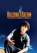 Arizona Dream poster image