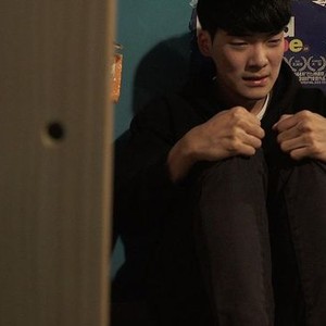 One summer night 2017 full shop