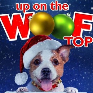 Up on the Wooftop photo 13