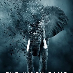 The Ivory Game photo 12