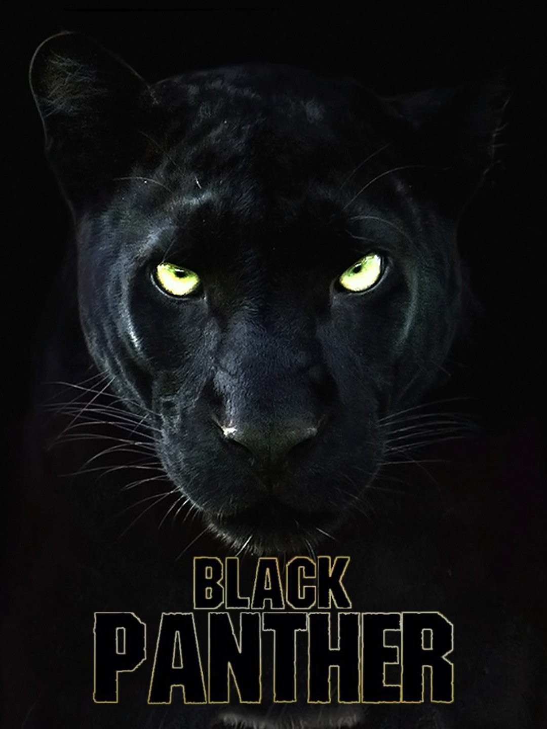 Black Panther