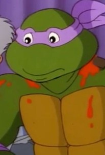 Teenage Mutant Ninja Turtles: Season 4, Episode 2 - Rotten Tomatoes