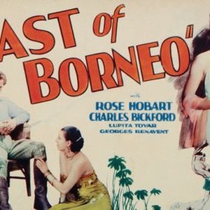 East of Borneo photo 8