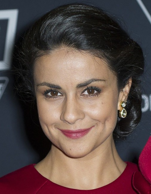 Gul Panag