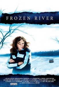 Frozen River poster