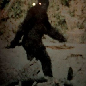Bigfoot: The Lost Coast Tapes photo 3