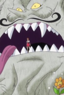 One Piece: Season 19, Episode 19 - Rotten Tomatoes