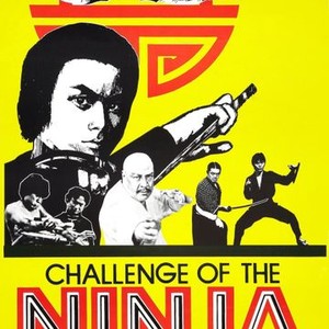 Challenge of the Ninja photo 9