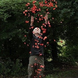 A scene from "Leaning Into the Wind: Andy Goldsworthy." photo 5