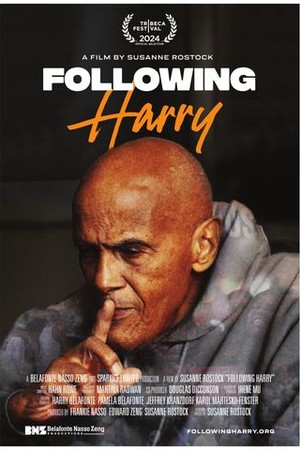 Following Harry poster