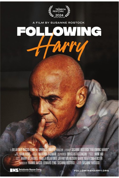 Following Harry poster