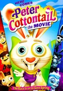 Here Comes Peter Cottontail: The Movie poster image