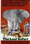 The Last Safari poster image