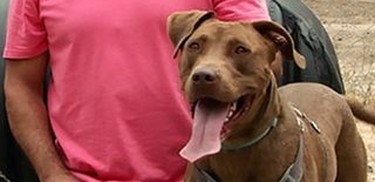 Cesar 911 season 4 new arrivals
