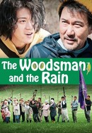 The Woodsman and the Rain poster image