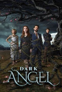 Poster for V.C. Andrews' Dark Angel