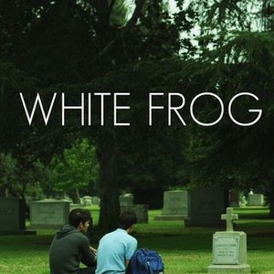 "White Frog photo 2"