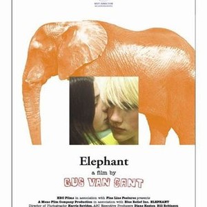 "Elephant photo 8"