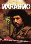 Marasmo poster image