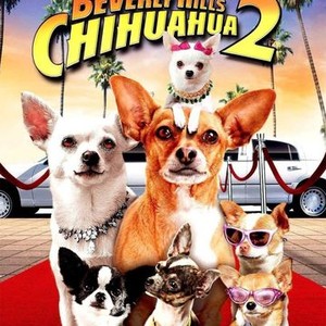 Beverly Hills Chihuahua 2 - Rotten Tomatoes