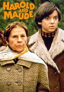 Harold and Maude poster image