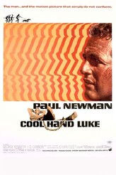 暴力脱獄 / Cool Hand Luke