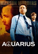 Aquarius poster image