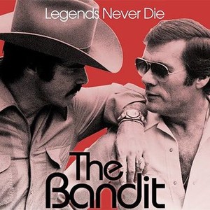 The Bandit photo 1