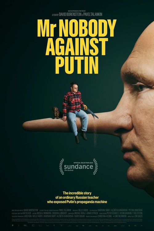 Mr. Nobody Against Putin poster