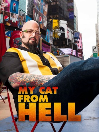 My cat from hell posey the terror clearance