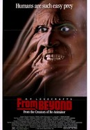 From Beyond poster image