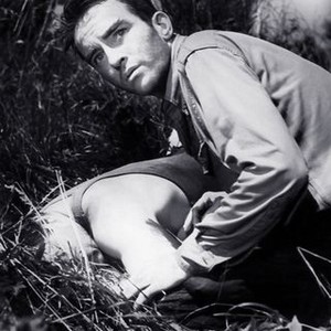 The Young Lions (1958)