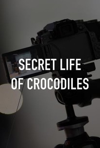 Secret Life of Crocodiles | Rotten Tomatoes