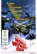 World Without Sun poster image