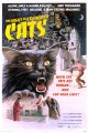 The Night of a Thousand Cats