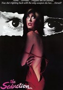 The Seduction poster image