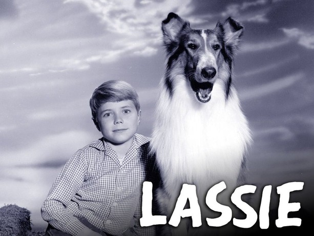 Lassie | Rotten Tomatoes