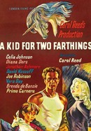 A Kid for Two Farthings poster image